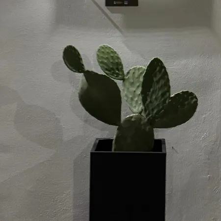 Casa Feremi Nocleg ze śniadaniem