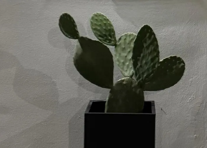 Casa Feremi Bed & Breakfast