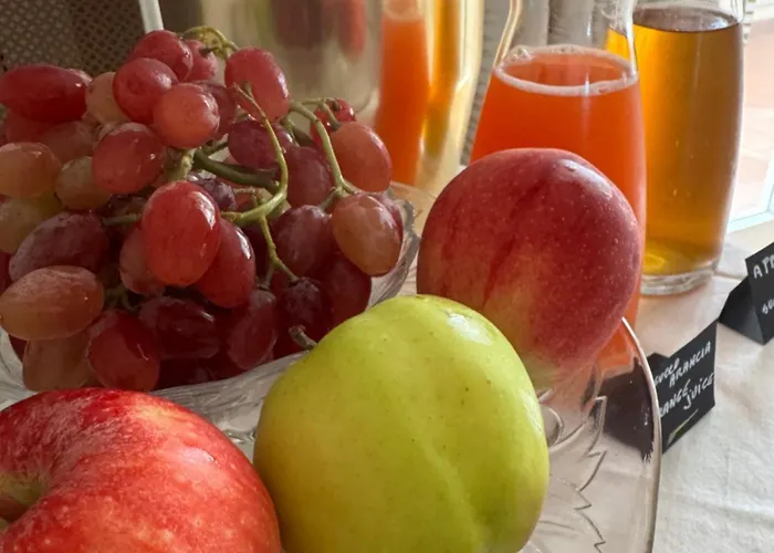 Bed & Breakfast Casa Feremi Cavallino di Lecce